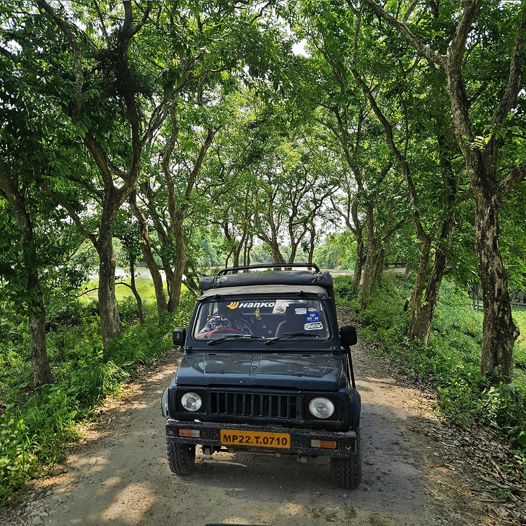 Pench Fun Tour with 01 Jeep Safari